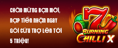 Hoàn Trả VIP Hàng Tuần promotion